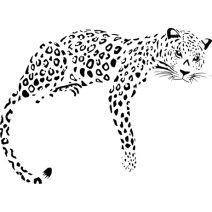 leopárd falmatrica