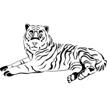 tigris fekvő falmatrica