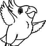 Madár