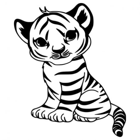 Kis tigris 1 falmatrica