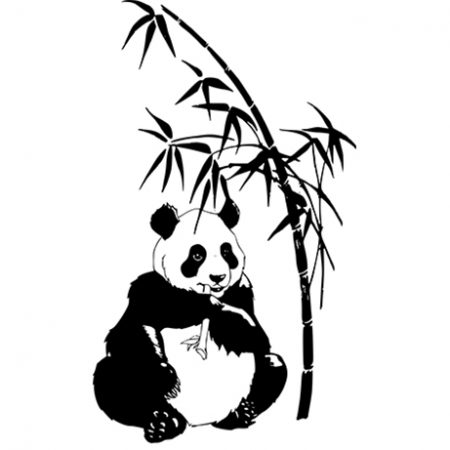 panda falmatrica