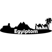 Egyiptom falmatrica
